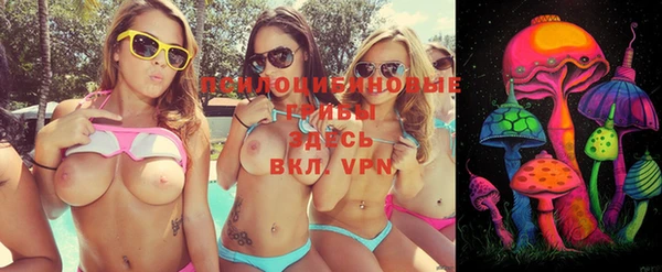 ГАЛЛЮЦИНОГЕННЫЕ ГРИБЫ Остров