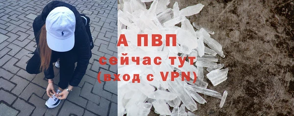 apvp Алзамай
