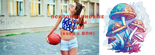 ГАЛЛЮЦИНОГЕННЫЕ ГРИБЫ Остров