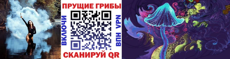 Галлюциногенные грибы Psilocybine cubensis где продают blacksprut ссылки Алупка